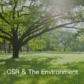 CSR & The Environment