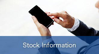 Stock Information