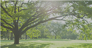 United Nations Global Compact